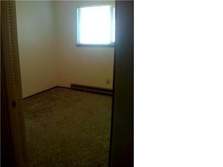 badhershey profile photo