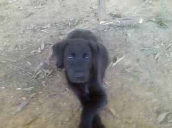 GiXXer profile photo