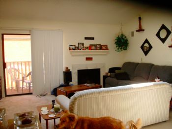 jnobeli2 profile photo