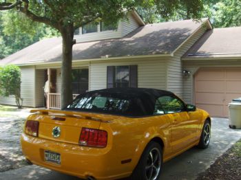 NELL25 profile photo