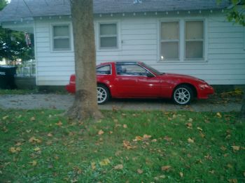 CraziiRabbit profile photo