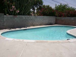 jndack profile photo