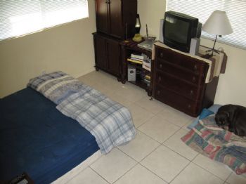 jndack profile photo