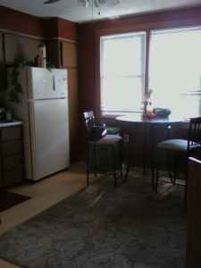 nettelite profile photo