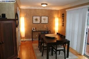 Stepheff profile photo