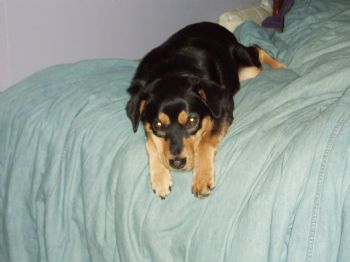 streak69 profile photo