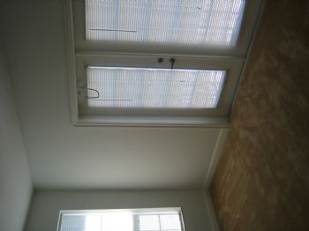 roomy1520 profile photo