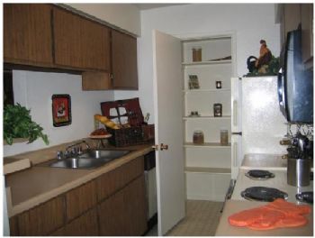 Dustin33 profile photo