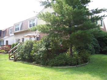 noodles79 profile photo