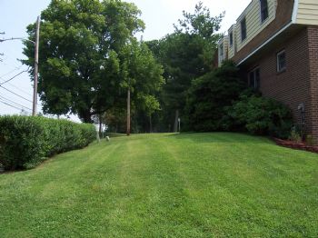 noodles79 profile photo