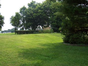 noodles79 profile photo