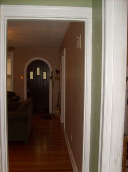 zeusbully profile photo