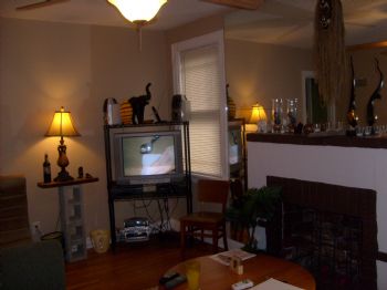 zeusbully profile photo