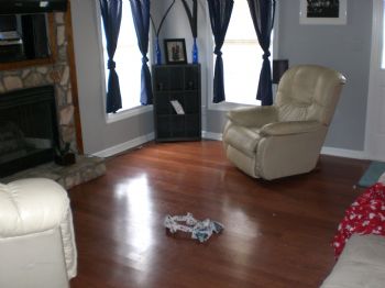 rugbyhouse profile photo