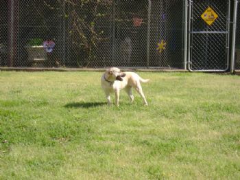 girlygirl16 profile photo