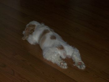 rawlins89 profile photo