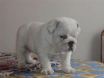 Debbiefrank3 profile photo