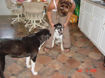 mdriggs profile photo