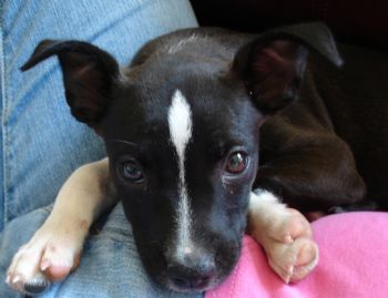 skittles07 profile photo