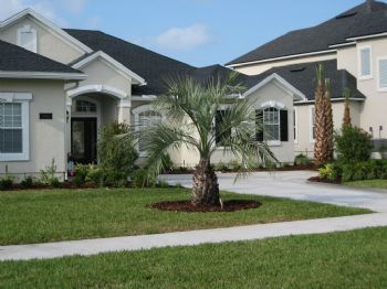 zman767 profile photo