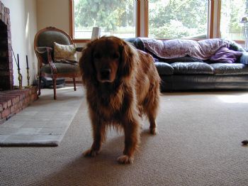 kkleith profile photo