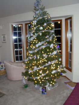 kkleith profile photo