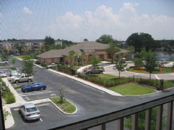 pringle profile photo