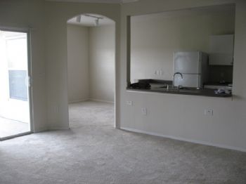 pringle profile photo