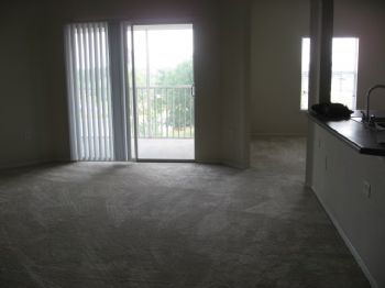 pringle profile photo