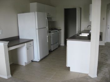 pringle profile photo