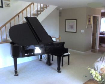 reese1519 profile photo