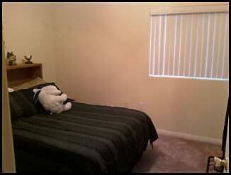 rae702 profile photo