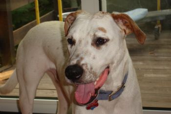 SarahW27 profile photo