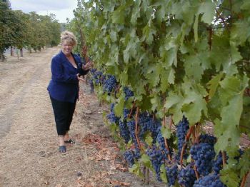 trueeangel profile photo