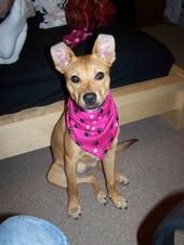 AOwen23 profile photo