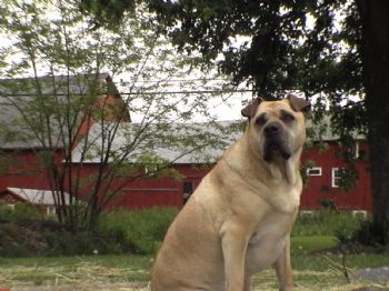 jacob22 profile photo