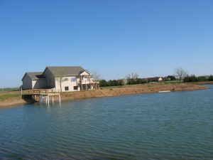 xram67 profile photo