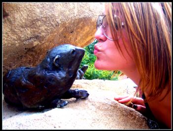 kt_bug88 profile photo