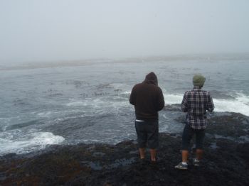 cwilder profile photo