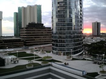 free_fall profile photo