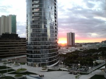 free_fall profile photo