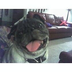 Mold13 profile photo