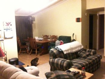 dehaasbz profile photo