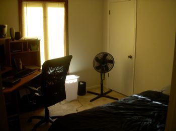 squeakivich profile photo