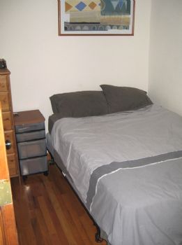 danfortune profile photo