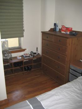 danfortune profile photo