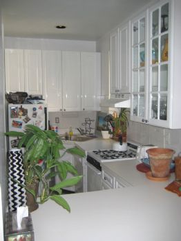 danfortune profile photo