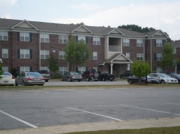 bailey31 profile photo