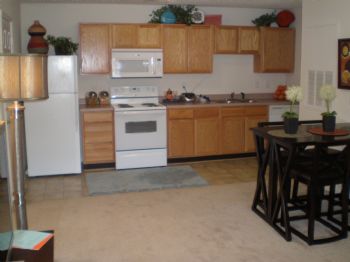 bailey31 profile photo