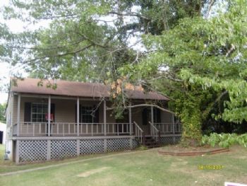 andhollisaid profile photo